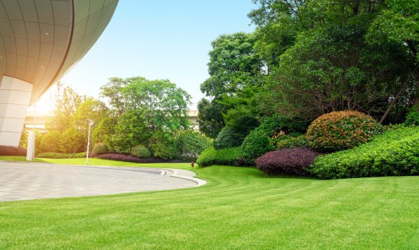Commercial Shrub Trimming in Fort Smith