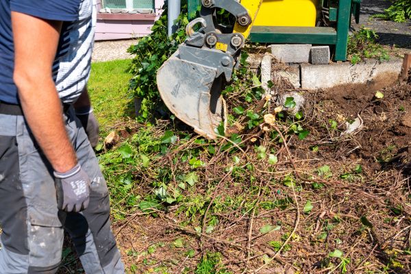 Hedge Removal Service in Fort Smith