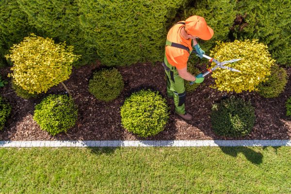 Cost of Topiary Trimming in Fort Smith