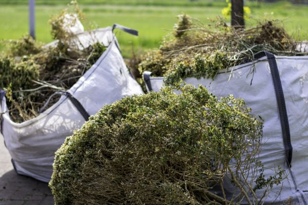 Cost of Shrubs Removal in Fort Smith