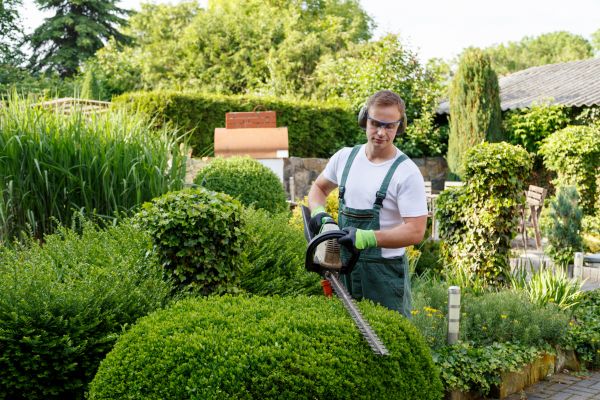 Shrubs Trimming in Fort Smith